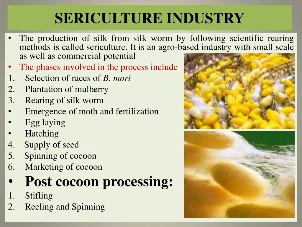 sericulture industry