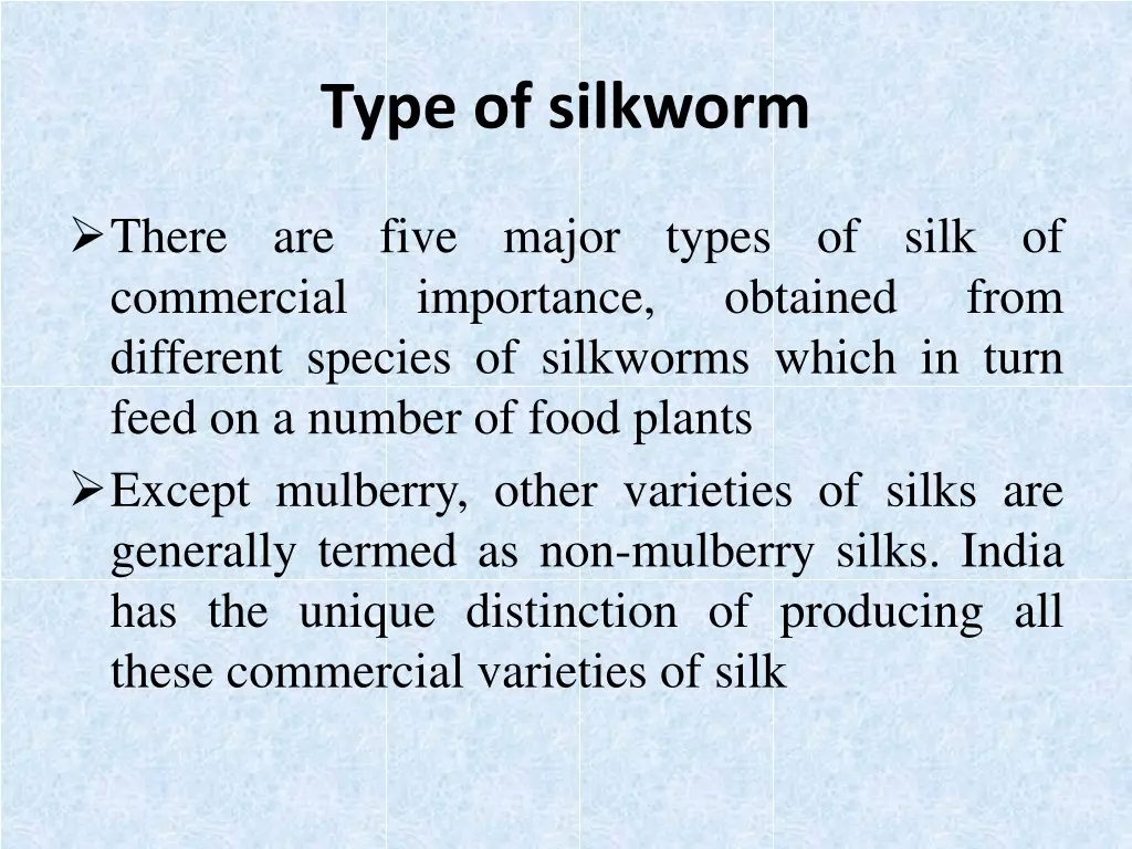 type of silkworm