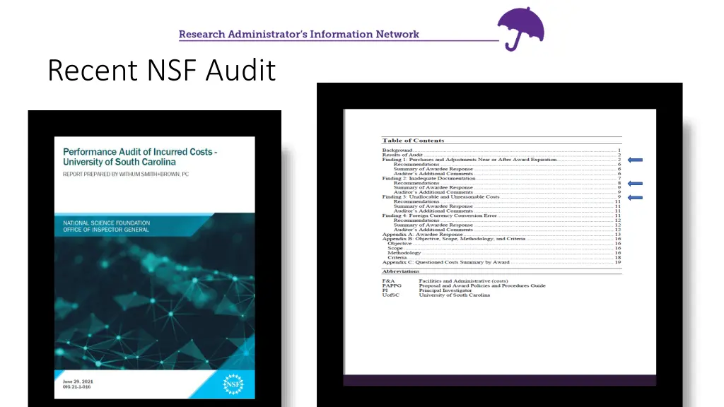 recent nsf audit