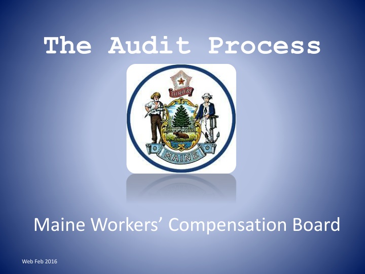 the audit process