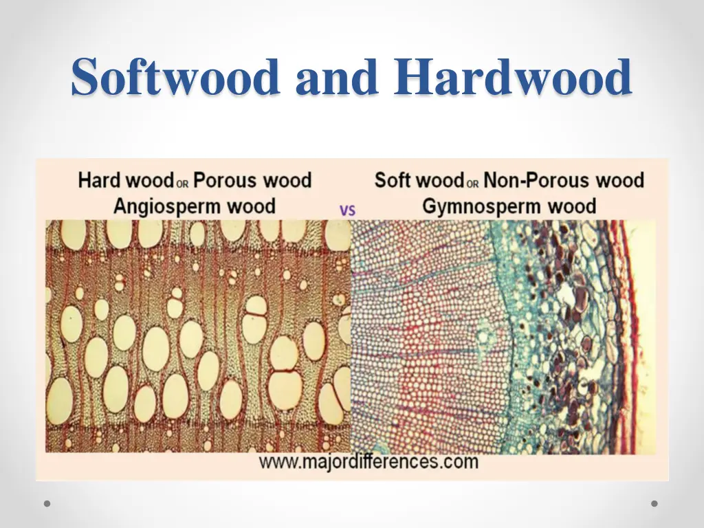 softwood and hardwood