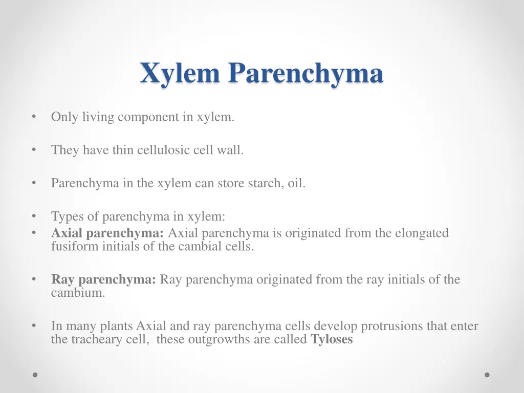 xylem parenchyma