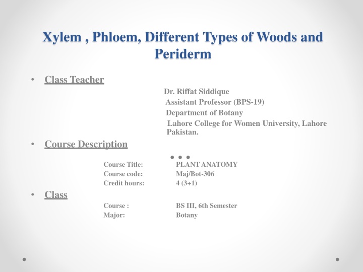 xylem phloem different types of woods and periderm