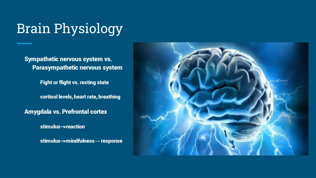 brain physiology