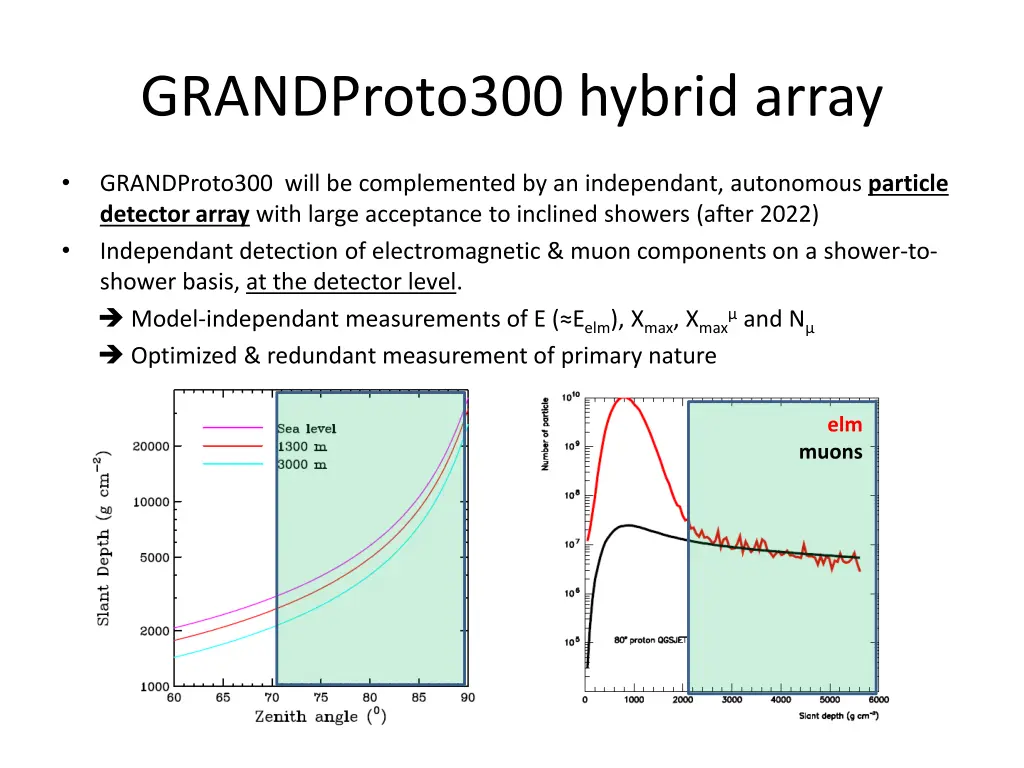 grandproto300 hybrid array