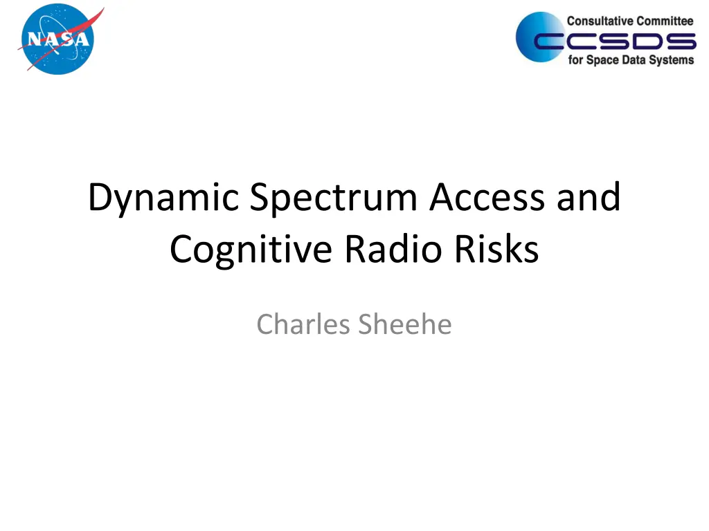 dynamic spectrum access and cognitive radio risks