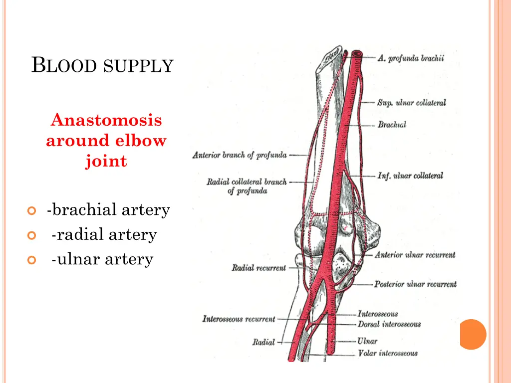 b lood supply