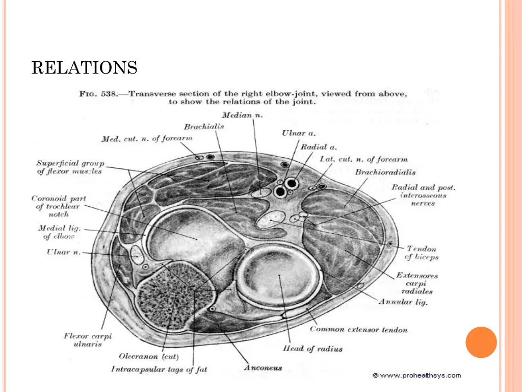 relations