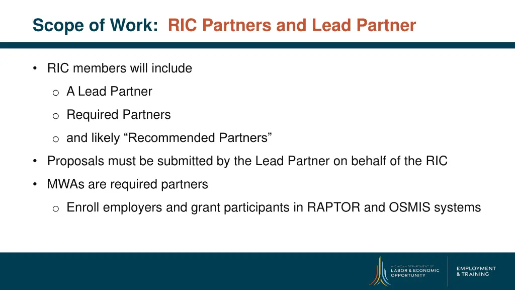 scope of work ric partners and lead partner