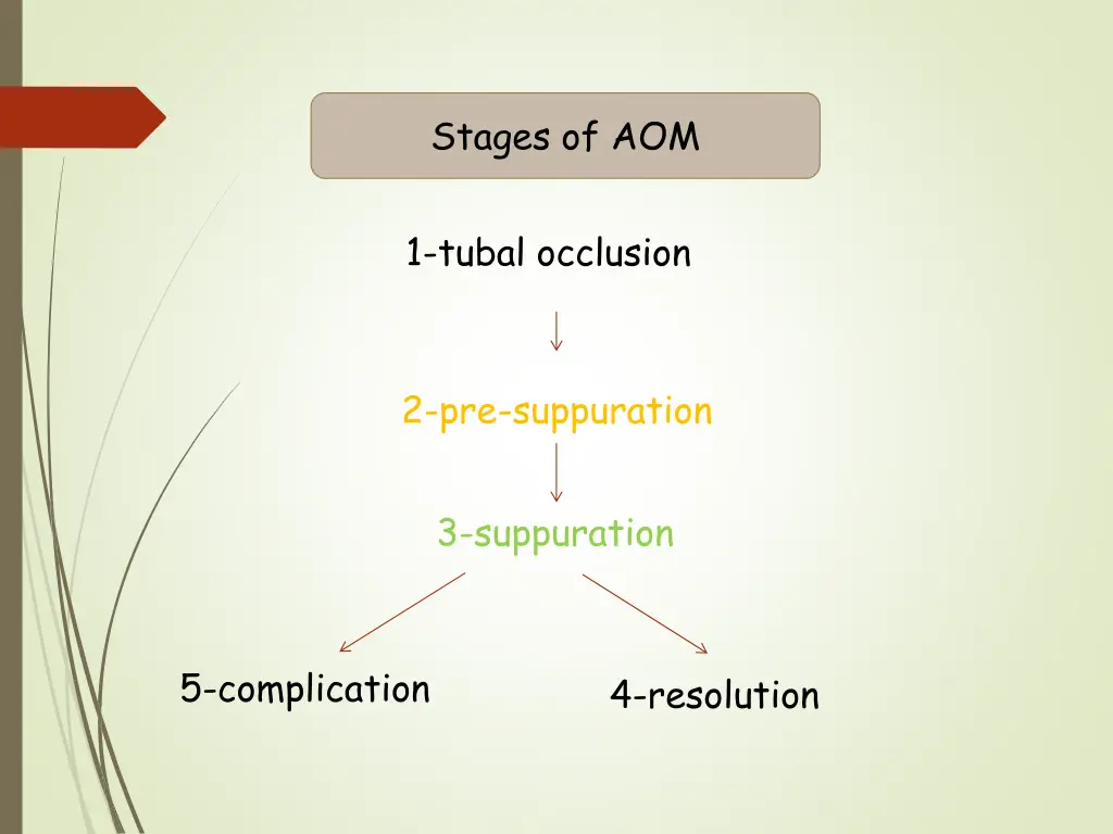 stages of aom