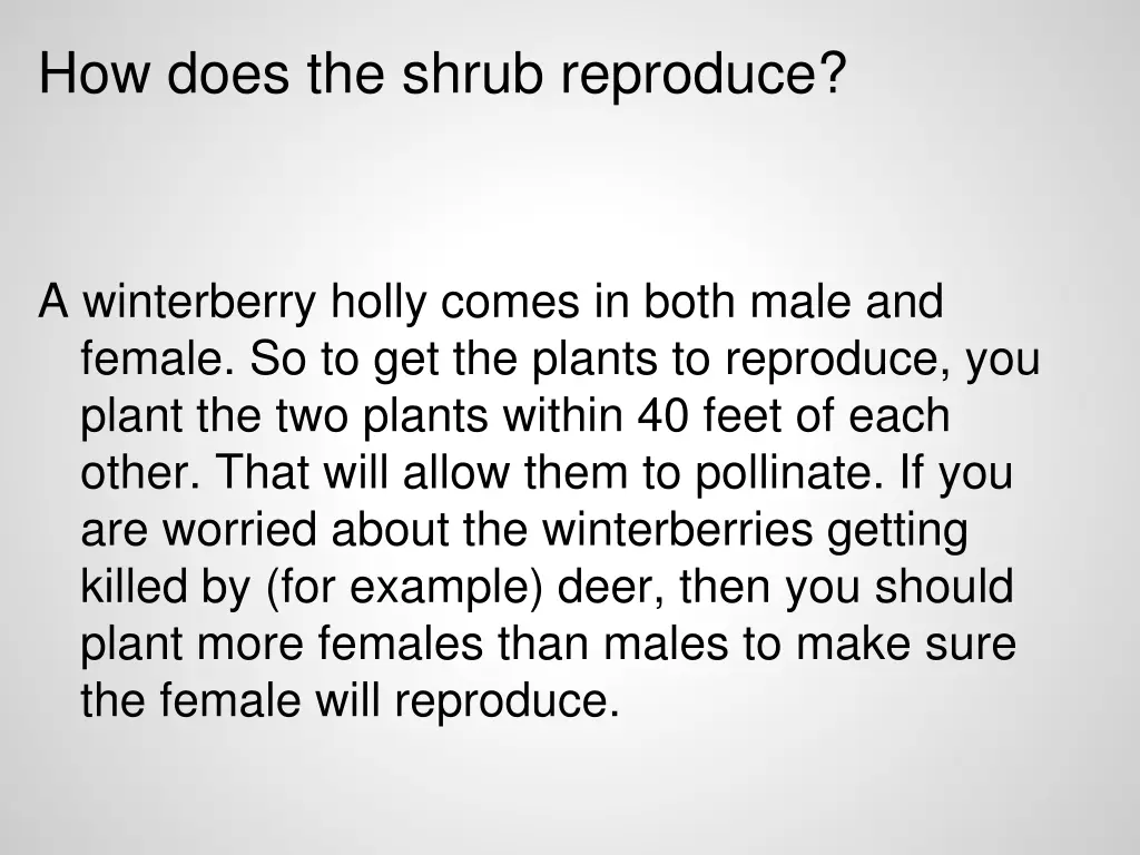 how does the shrub reproduce