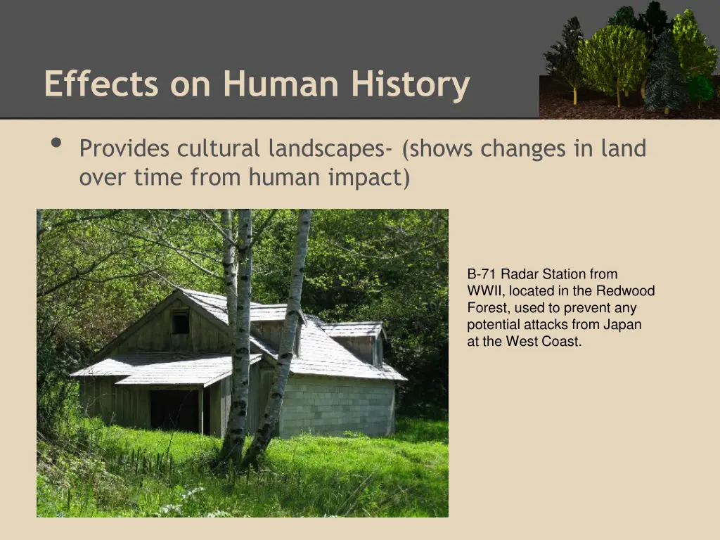 effects on human history