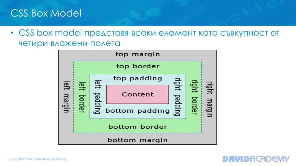 css box model