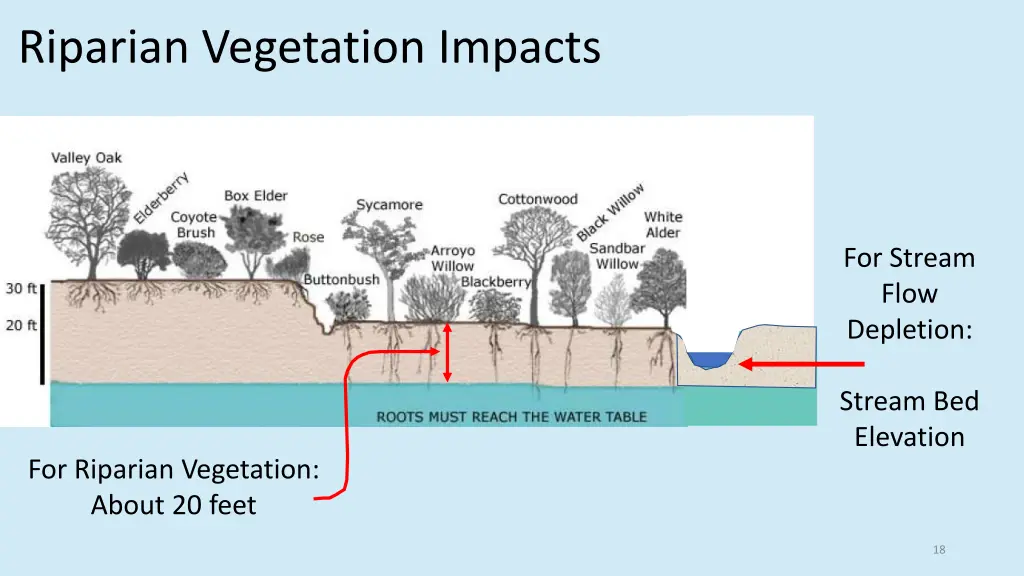 riparian vegetation impacts