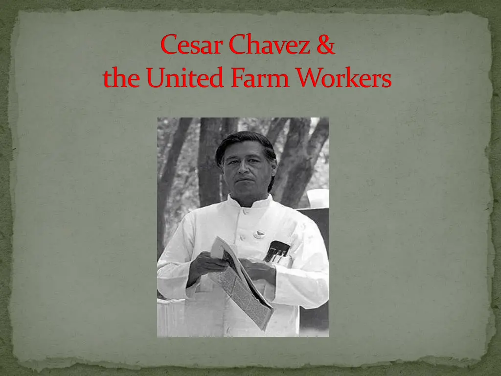 cesar chavez the united farm workers