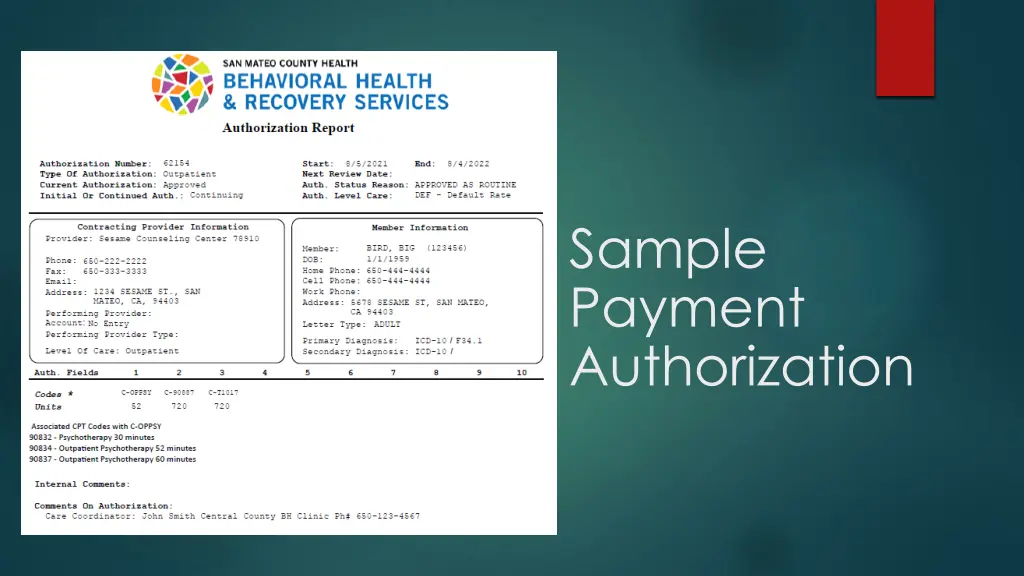 sample payment authorization