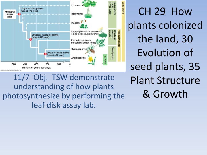 ch 29 how plants colonized the land 30 evolution