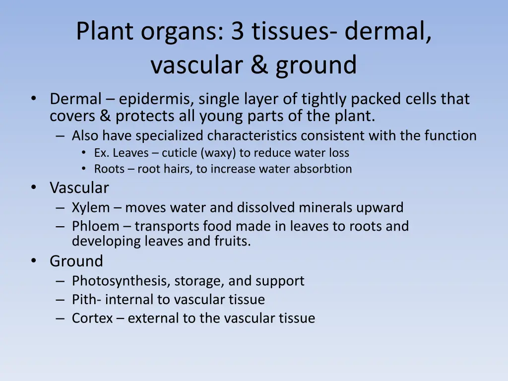 plant organs 3 tissues dermal vascular ground