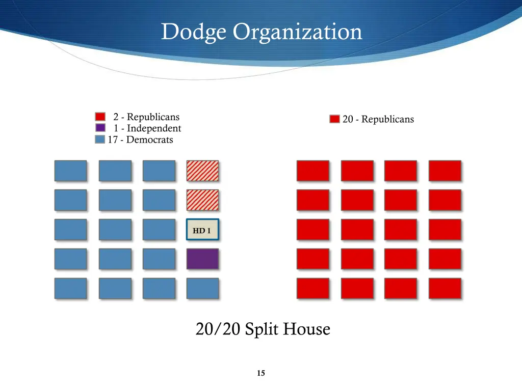 dodge organization