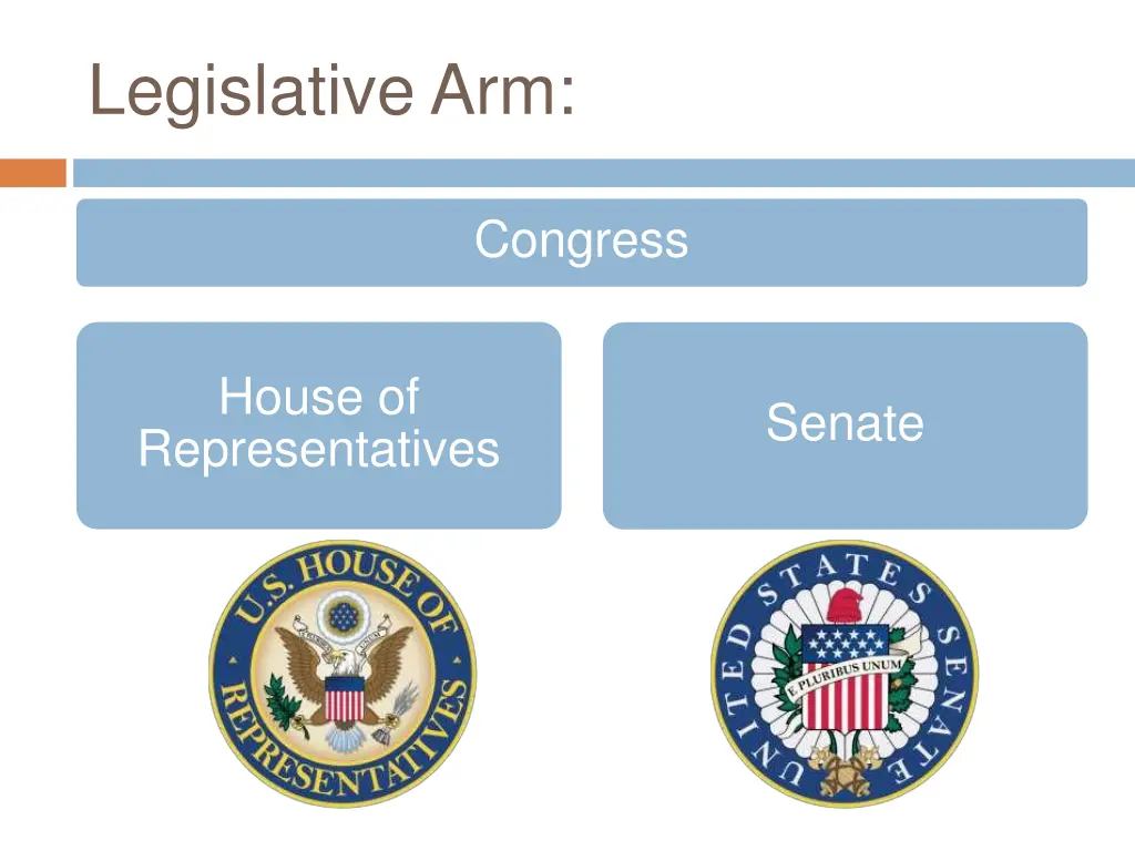 legislative arm