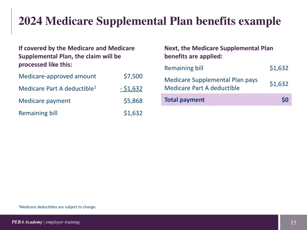 2024 medicare supplemental plan benefits example