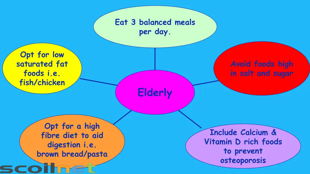 eat 3 balanced meals per day