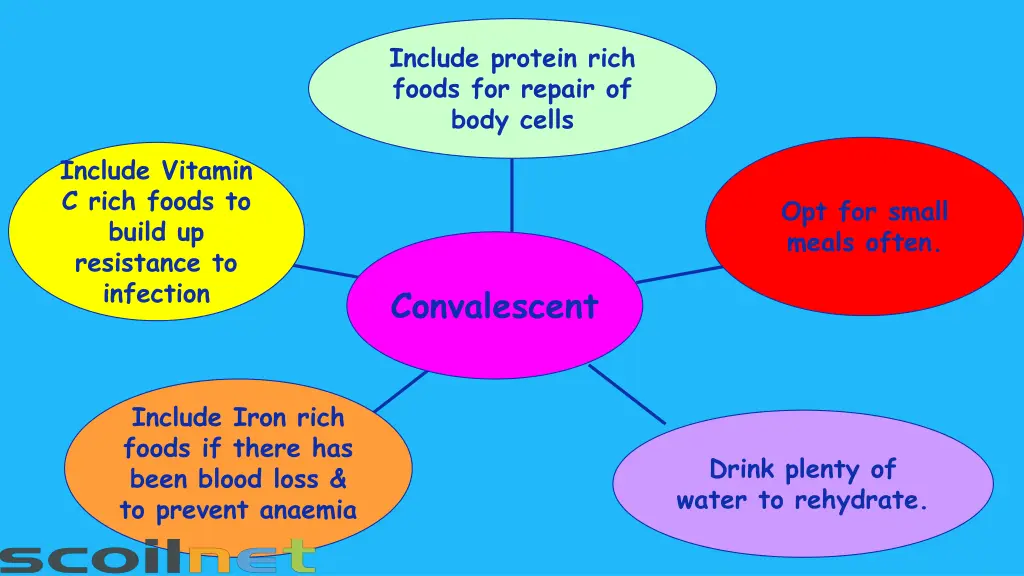 include protein rich foods for repair of body