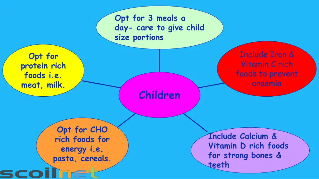 opt for 3 meals a day care to give child size