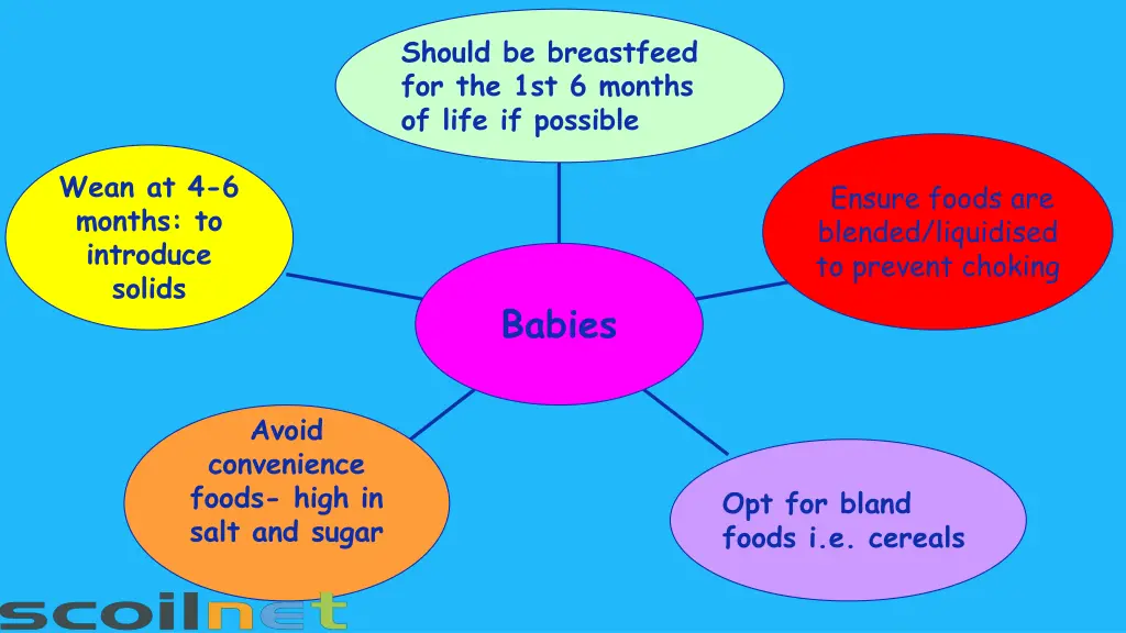 should be breastfeed for the 1st 6 months of life