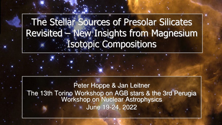 the stellar sources of presolar silicates