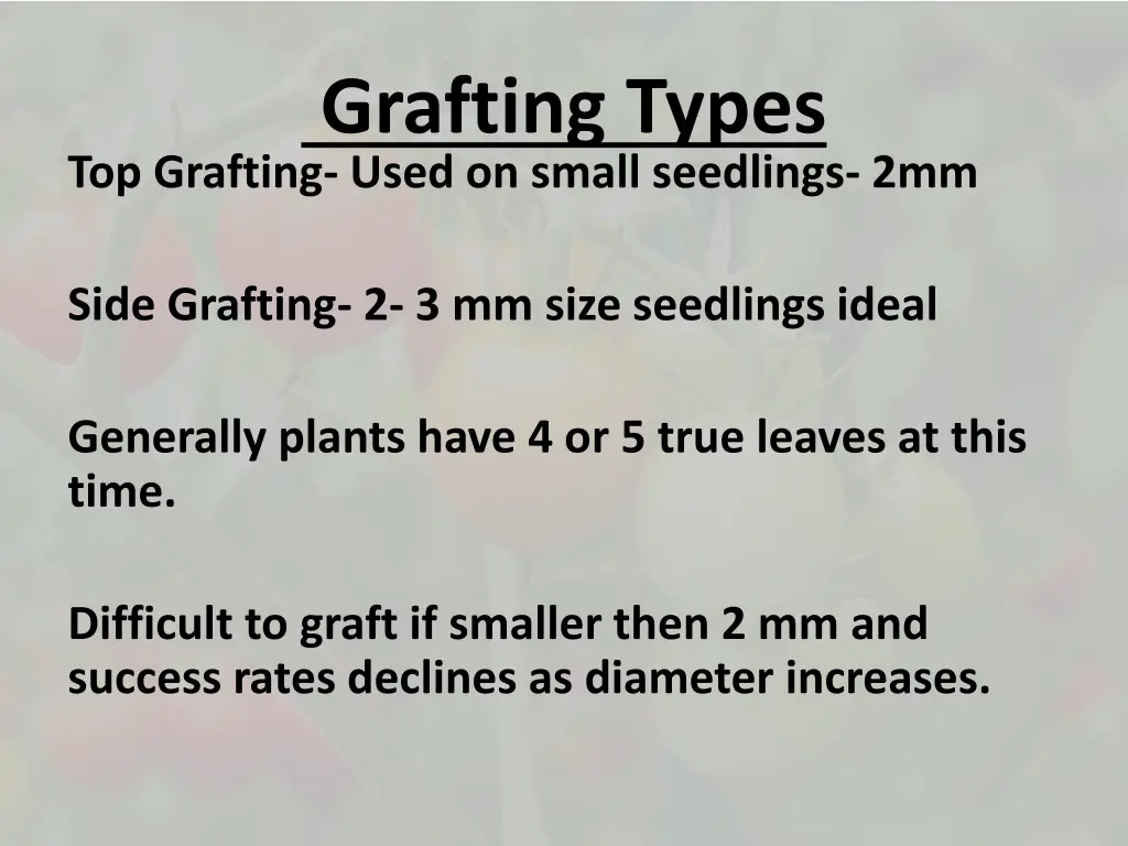 grafting types top grafting used on small