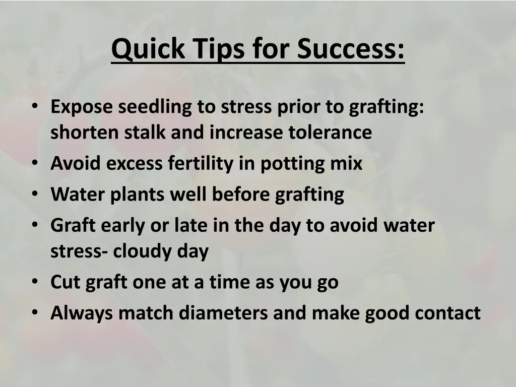 quick tips for success