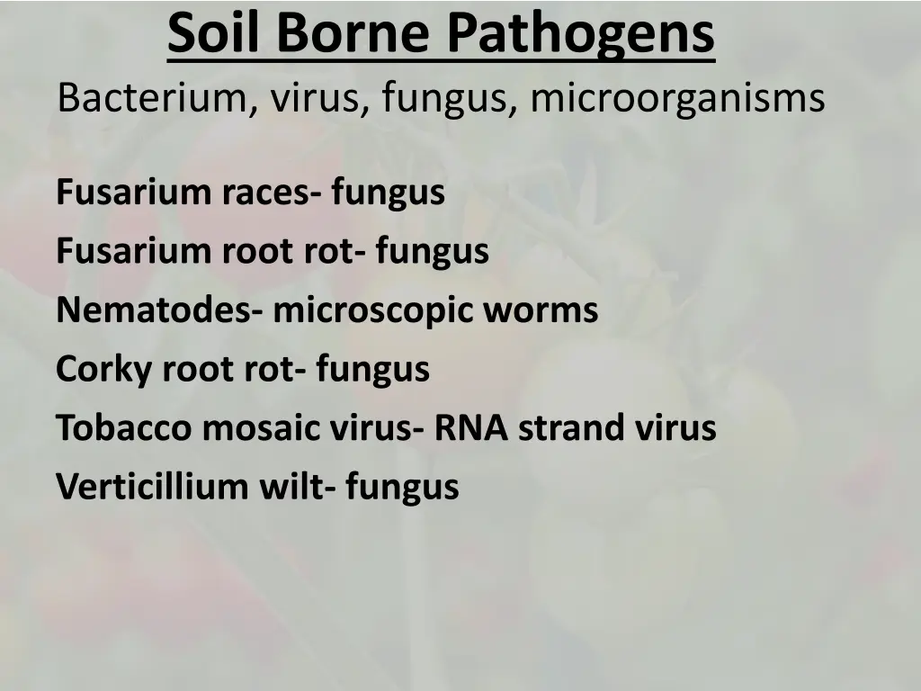 soil borne pathogens bacterium virus fungus