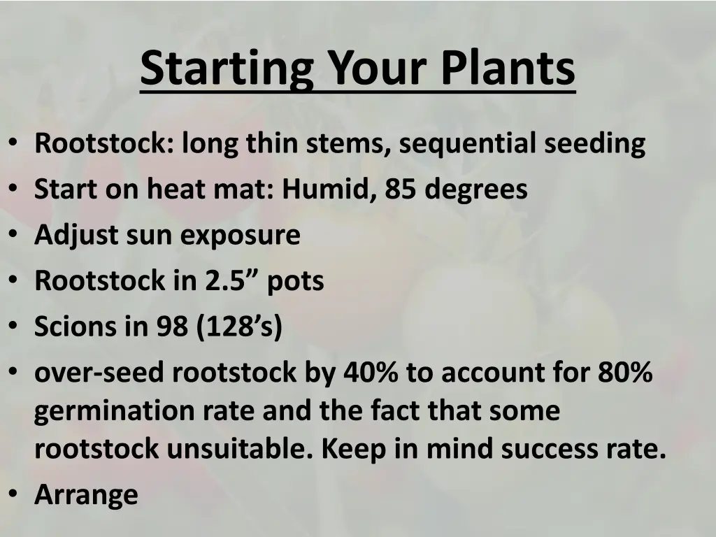 starting your plants