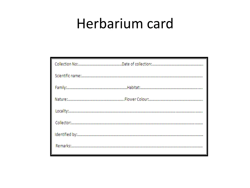 herbarium card