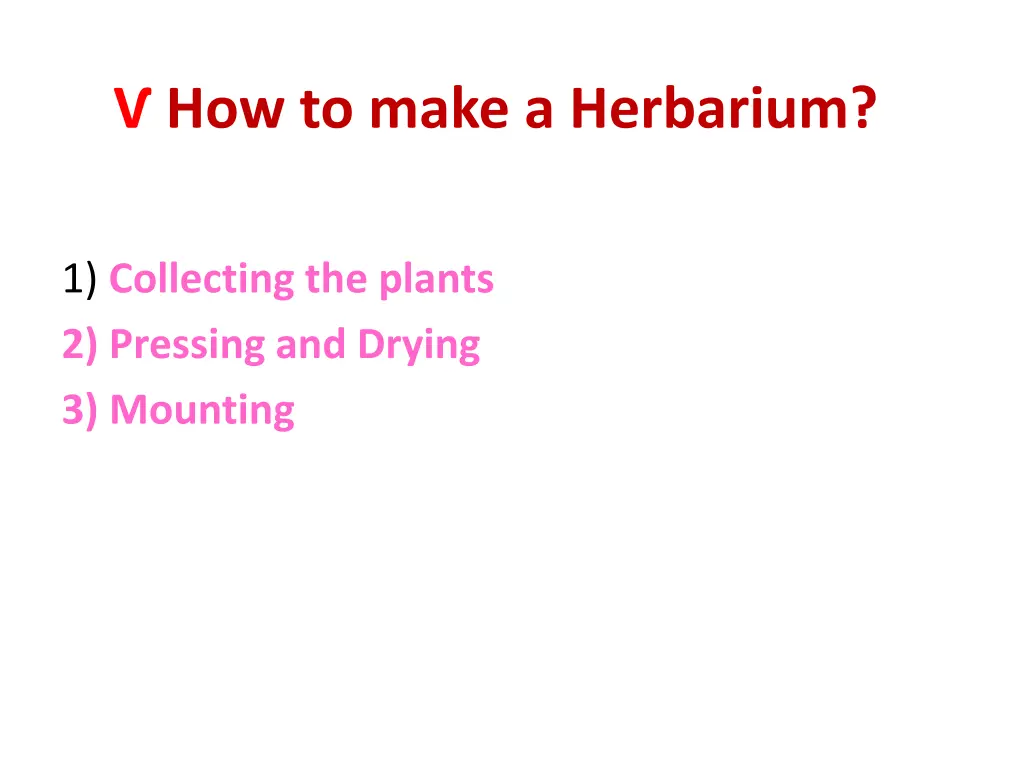 how to make a herbarium