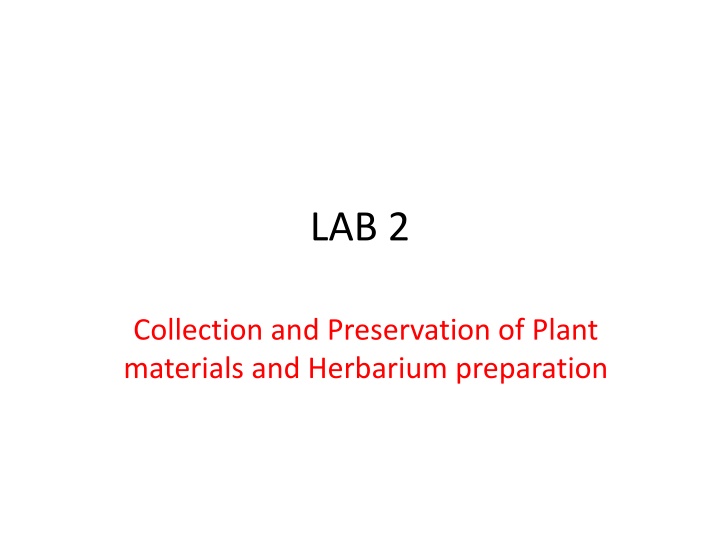 lab 2