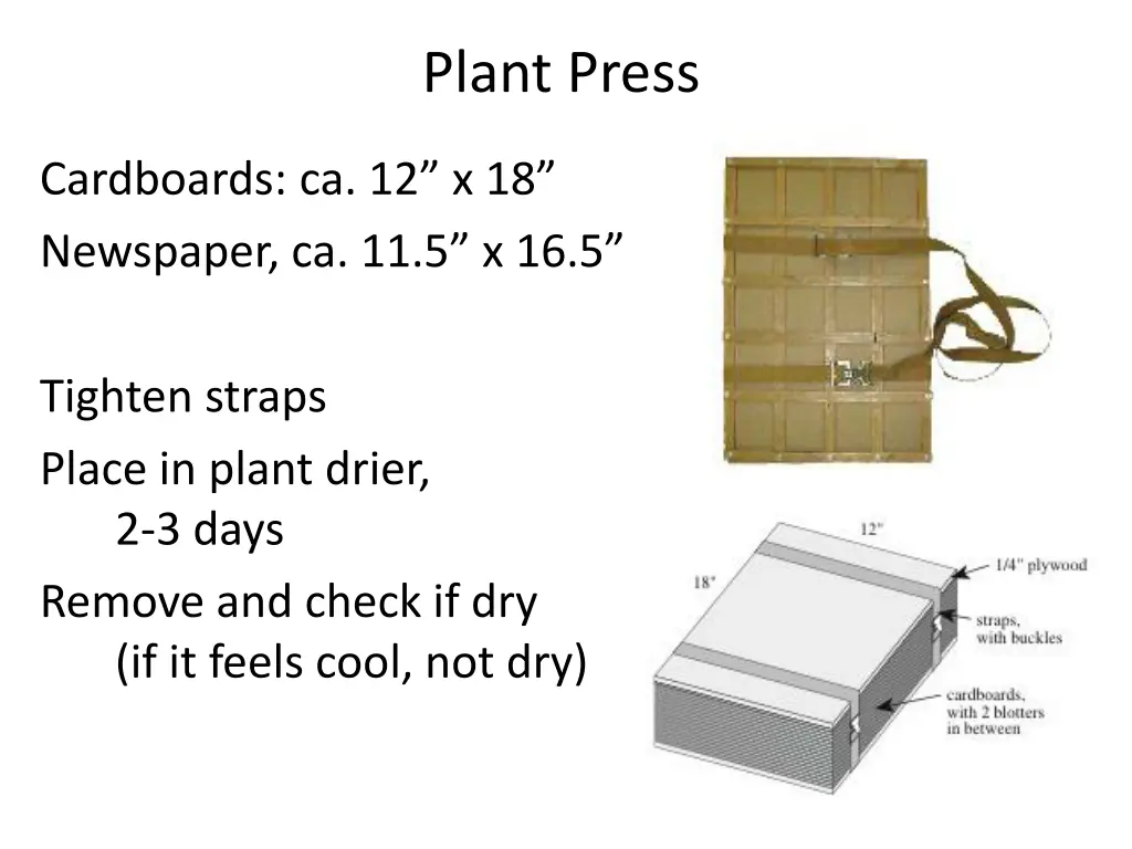 plant press