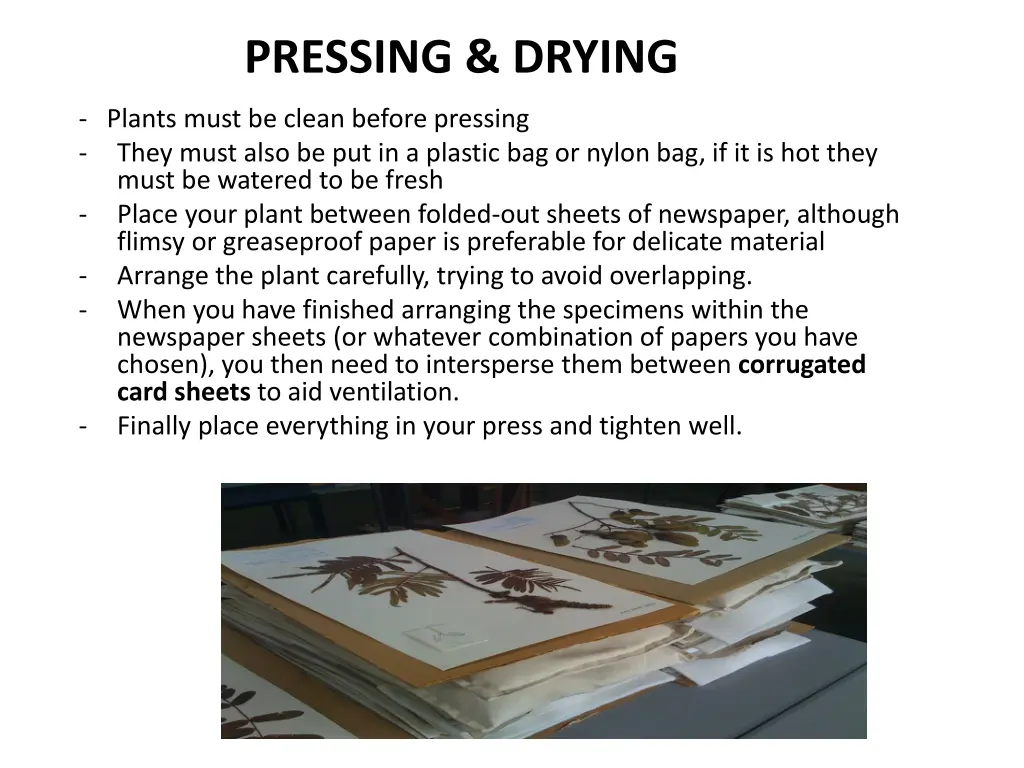 pressing drying