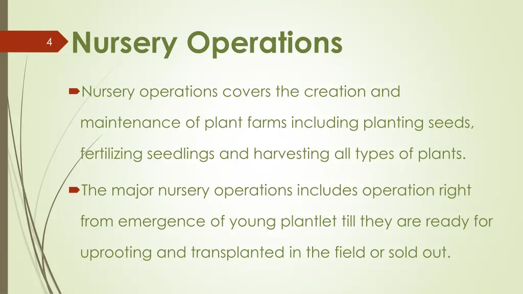 nursery operations