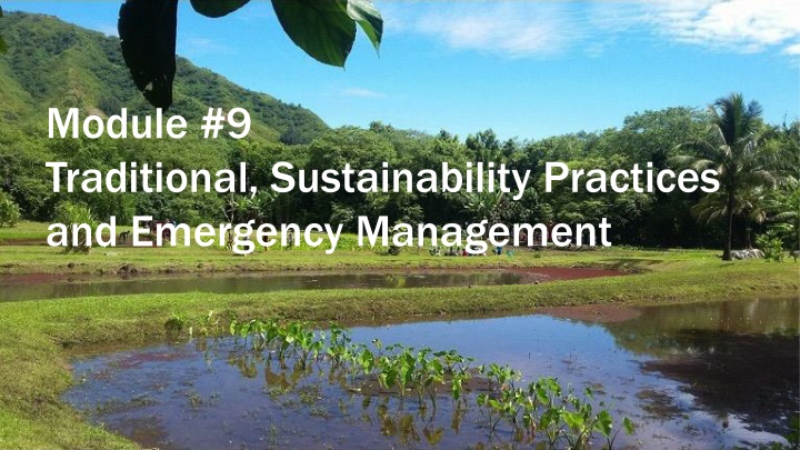 module 9 traditional sustainability practices