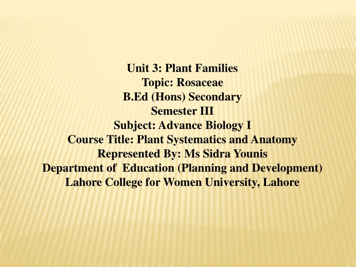 unit 3 plant families topic rosaceae b ed hons