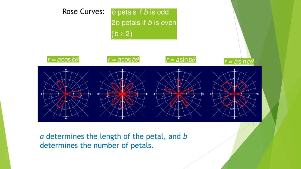 rose curves