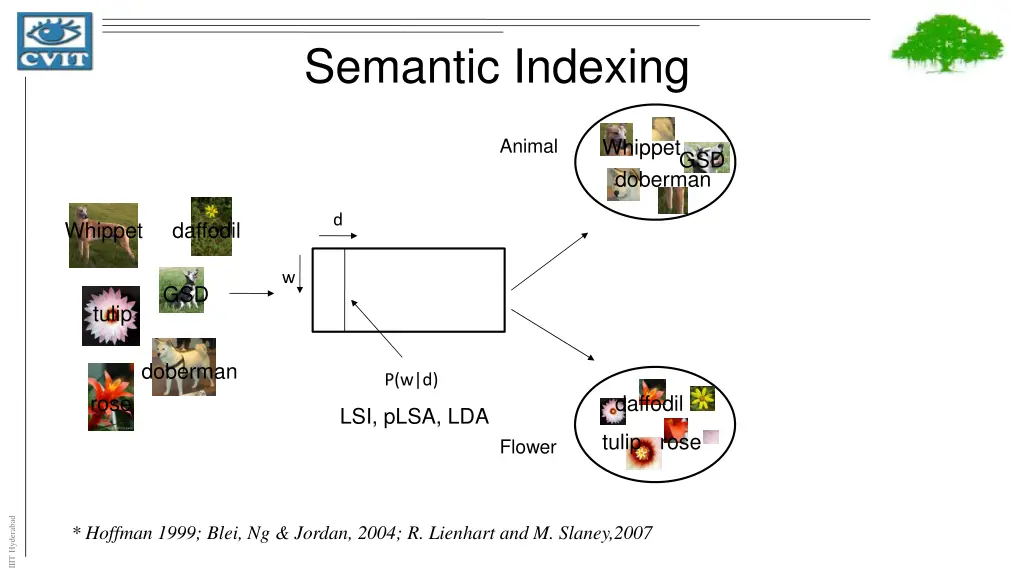 semantic indexing