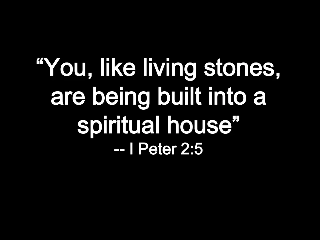 you like living stones you like living stones