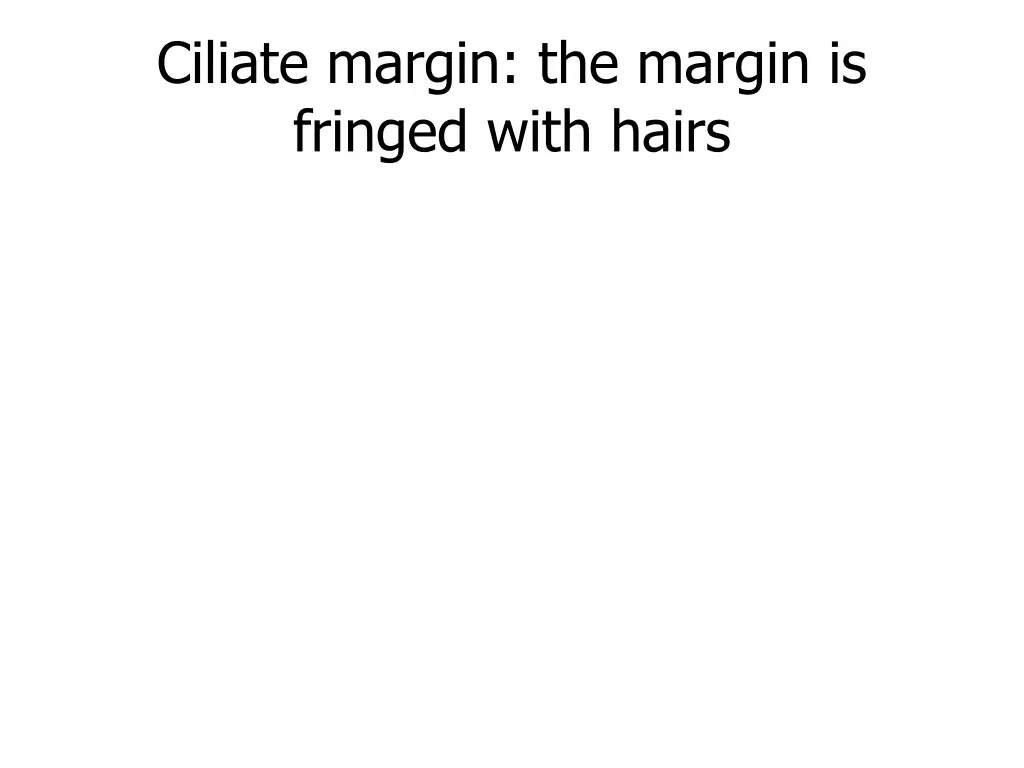 ciliate margin the margin is fringed with hairs