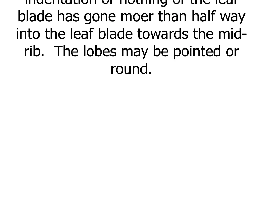 indentation or nothing of the leaf blade has gone