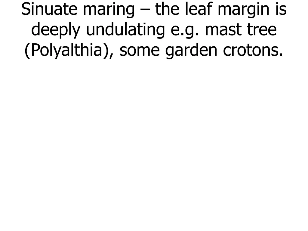 sinuate maring the leaf margin is deeply