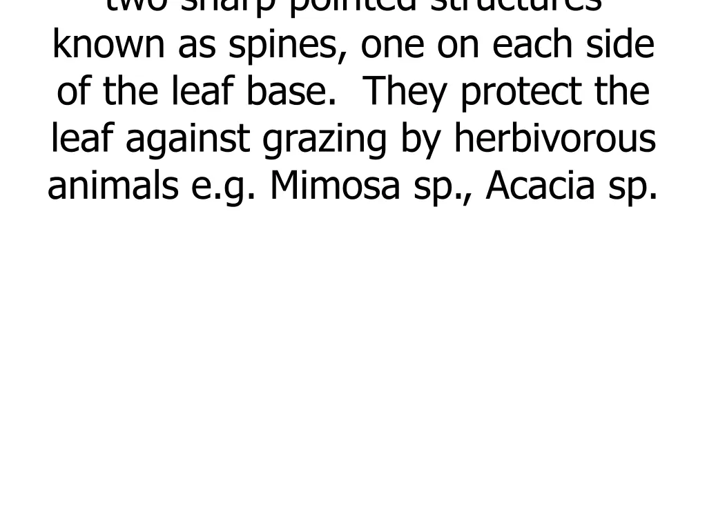 two sharp pointed structures known as spines