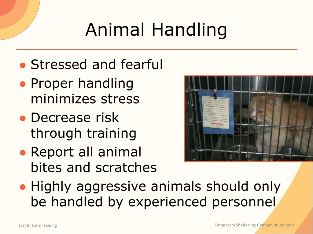 animal handling